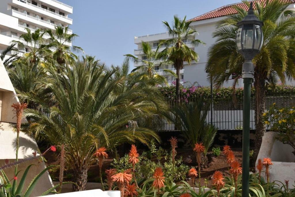 Apartamento Las Veronicas Arona (Tenerife) Exterior foto